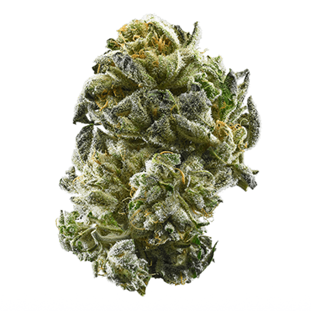 Girl-Scout-Cookies-Strain-min.png